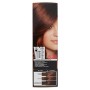 Franck Provost Colorazione Permanente Capelli, Tinta Copertura Ottima, Colore Professionale, 5.35 Castano Chiaro Dorato Mogano