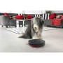 Vileda VR 201 PetPro 160884, Robot Aspirapolvere per Peli Tappeti, Vano Raccogli-Sporco XL con Spazzola per Peli di Animali, Dop