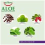 Equilibra Corpo, Aloe Crio-Gel Cellulite, Gel Fresco a Base di Aloe Vera, Favorisce la Circolazione Periferica, Contrasta Ritenz