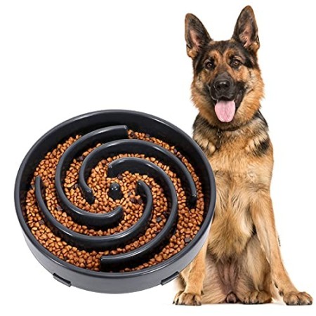 Ciotola per cani con alimentazione lenta, anti-imbracatura, ciotola interattiva, ciotola per cani di sicurezza, durevole, ecolog