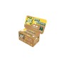 ACE Green Spray Multiuso, 2 Ecoricariche da Diluire in Acqua