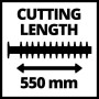 Einhell 3403835 Tagliasiepi a scoppio
