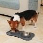 Pecute Ciotole per Cani Gatti in Acciaio Inox con Tappetino Silicone Antiscivolo (M (12 oz *2 , 2*400ml/ciotola))