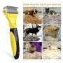 morpilot Toelettatura Professionale, Spazzola, Attrezzi per Rimuovere i Peli Superflui e Sbrogliare i Nodi per Cani e Gatti, Rid