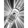 Russian Standard Vodka Platinum - 0.7 L