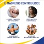 Equilibra Magnesio con Vitamine Gruppo B, 30 Compresse