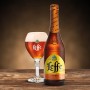 Leffe Ambree Birra, Bottiglia - Pacco da 24 x 330 ml