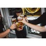 Goose Island Birra - Pacco da 12 x 355 ml