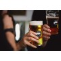 Goose Island Birra - Pacco da 12 x 355 ml