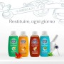 Neutro Roberts Doccia Shampoo Energizzante - 6 Confezioni da 250 ml - Totale: 1500 ml