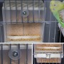 Abree Mangiatoia Automatica per Uccelli Pappagalli Canarino