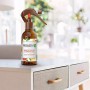 Airwick Botanica, Profumatore Per Ambienti, Spray Per Ambienti, Confezione Da 8 Spray, Fragranza Menta Del Marocco E Pompelmo Ro