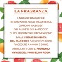 Airwick Botanica, Profumatore Per Ambienti, Spray Per Ambienti, Confezione Da 8 Spray, Fragranza Menta Del Marocco E Pompelmo Ro