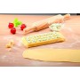 Tescoma Delicia 630878 Stampo per Raviolini Tondi, Plastica, 21 Pezzi, 1 Pezzo, Giallo