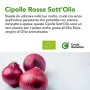 CiboCrudo Cipolle Sott’Olio Bio, Spesse e Compatte, in Olio Extravergine di Oliva Aromatizzato con Bacche di Ginepro, Pepe e C