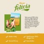 Felicia Spaghetti Pasta di Grano Saraceno, Biologico - 400 gr, Senza glutine