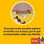 Pedigree Dentastix Snack per la Igiene Orale (Cane Medio 10-25 kg) 180 g 7 Pezzi - 7 Confezioni da 10 Pezzi (70 Pezzi totali)