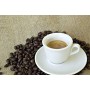 Caffè Corsini Estrella del Caribe, Caffè in Grani Arabica Fine di Santo Domingo, Soave e Vellutato - 1 kg