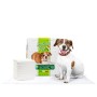 Italian Pet - Tappetini Super Assorbenti per Cani Taglia Piccola 60x90cm (10 Pezzi) Traverse Assorbenti per Addestramento di Can
