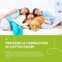Italian Pet - Tappetini Super Assorbenti per Cani Taglia Piccola 60x90cm (10 Pezzi) Traverse Assorbenti per Addestramento di Can