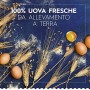 Barilla Pasta all'Uovo Ripiena Le Emiliane Tortellini con Prosciutto Crudo - 250 g