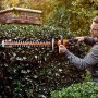 Worx WG284E Tagliasiepi Tosasiepi Elettrico da Giardino a Batteria 40V (2x20V), Diam. Taglio 27 mm