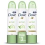 Dove deodorante Spray 250 ml– [confezione da 3] Go Fresh con cetriolo e te verde