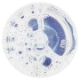Acqua alle Rose Micellare Struccante - 200ml - 6 confezioni