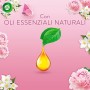 Airwick Diffusore di Oli Essenziali - 1 Confezione con un Profumatore per Ambienti, una Ricarica Fragranza Peonia e Gelsomino Ri