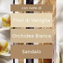 Glade Essential Oil, Diffusore per Ambiente Elettrico agli Olii Essenziali, Fragranza Romantic Vanilla Blossom, Confezione da 1 