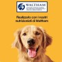 Pedigree Dentastix per Cani di Taglia Grande - 56 Pezzi