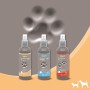 Beaphar – Shampoo Secco Premium – per Cane – 200 ml