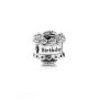 Pandora Charm Argento 925