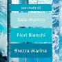 Glade Sense&Spray, Profumatori per Ambienti, Fragranza Ocean Adventure, 4 Erogatori e 4 Ricariche