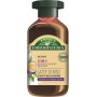 Antica Erboristeria 2 in 1 Shampoo Idratante Latte di Riso, Shampoo e Balsamo per Capelli con Doppie Punte con Ingredienti Natur