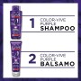 L'Oréal Paris Shampoo + Balsamo Biondo, Kit con Shampoo e Balsamo Anti-Giallo Elvive Color Vive Purple, Confezione da 3