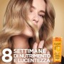 L'Oréal Paris Shampoo + Balsamo + Trattamento Olio, Box con Shampoo Nutriente, Balsamo Nutriente e Olio Sublimatore per Capelli