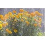 Gardena 1998-20 Tubo Irrigatore, Nebulizzatore per l'Irrigazione di Zone Lunghe e Strette, 15 m, Pronto all'Uso, Accorciabile o 
