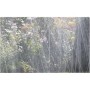 Gardena 1998-20 Tubo Irrigatore, Nebulizzatore per l'Irrigazione di Zone Lunghe e Strette, 15 m, Pronto all'Uso, Accorciabile o 