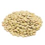 Lenticchie Verdi 500g BIO
