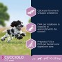 Eukanuba Cibo Secco per Cani, Cuccioli in Crescita, Cani di Taglia Media, Ricca di Pollo Fresco