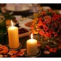 Papstar 17991 - Set di 6 candele, 60 x 115 mm, 6 pezzi, colore Avorio