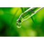 ALPHAPOWER FOOD® Stevia pura 100%, dolcificante liquida - Gocce, naturale & vegan - Ingredienti naturali 1x 50ml, senza zuccher