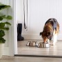 AmazonBasics - Ciotola per cani in acciaio INOX - Confezione da 2