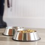 AmazonBasics - Ciotola per cani in acciaio INOX - Confezione da 2