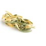 Agnesi Tagliatelle all’uovo paglia e fieno | Pasta all’uovo Festaiola | Confezione compostabile da 250 grammi