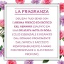 Airwick Botanica, Profumatore per Ambienti con Diffusore a Bastoncini, fragranza Rosa e Geranio Africano, fragranza naturale - C