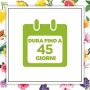 Airwick Botanica, Profumatore per Ambienti con Diffusore a Bastoncini, fragranza Rosa e Geranio Africano, fragranza naturale - C