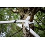 Fiskars Troncarami con lame bypass Quantum per legno verde, Diametro di taglio: 5,5 cm, Acciaio temprato, Lunghezza: 80 cm, Nero