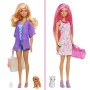 Barbie- Ultimate Color Reveal Bambola con 25 Sorprese, 2 Cuccioli, 15 Sacchettini con Abiti e Accessori, Modelli Assortiti, Gioc